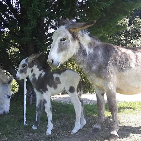 Harkurutxea Avec Piscine Jaxu