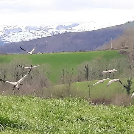 Harkurutxea Avec Piscine بيت للعطل Jaxu