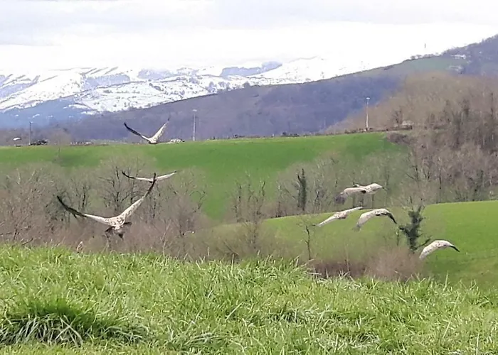Harkurutxea Avec Piscine Casa de Férias Jaxu