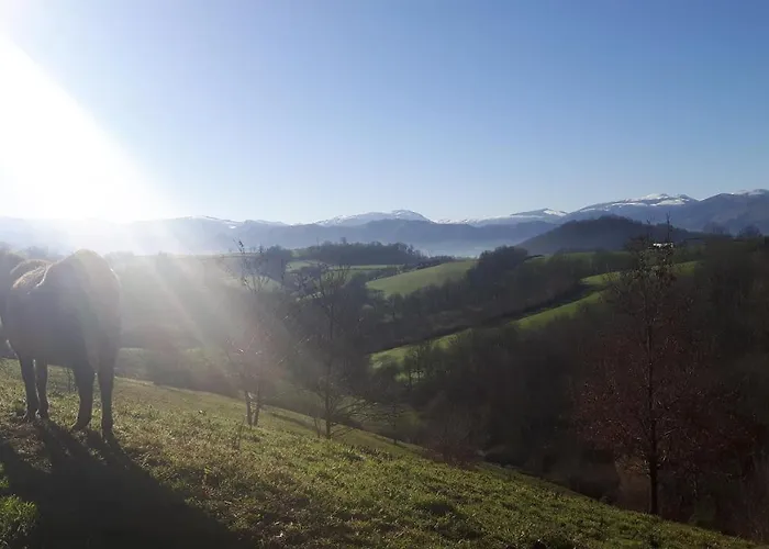 Harkurutxea Avec Piscine Casa de Férias Jaxu